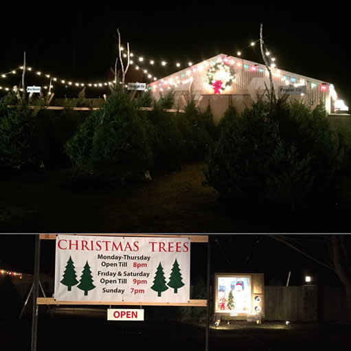 Christmas Tree Lot Night